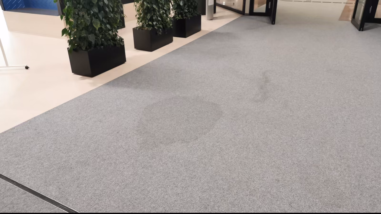 Teppichreinigung